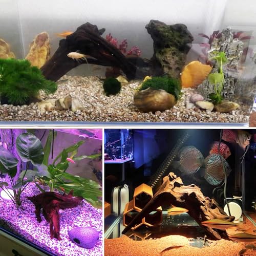 kathson 3 PCS Aquarium Driftwood Decoration Natural Driftwood Branches Reptiles Habitat Wood Decor Assorted Sizes Wood for Fish Tank Decor Reptile Terrarium Accessories Decor - size: 3Pcs: 4.5-9.5in
