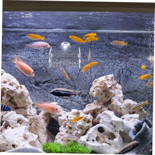 GANAZONO Aquarium Moss Holder Creative Acrylic Planter Fish Tank Plant Cup Easy Install Suction Cup