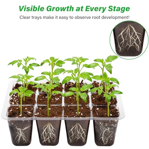 Bonviee 12 Packs Seed Starter Tray with Drainage Holes, Reusable & Durable, Clear for Root Monitoring, Easy to Repotted Without Root Damage, 12 Cells per Tray - color: Clear, size: 144 Cells, NO light