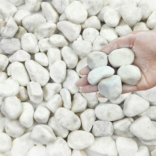FANTIAN 5 lbs White River Rocks for Plants, 1-2 Inch Pebbles for Indoor Plants, Decorative Gravel Stones for Succulent, Cactus, Landscaping, Vases, Aquariums, Crafting and Garden - color: White, size: 5 lbs, 1-2 Inch