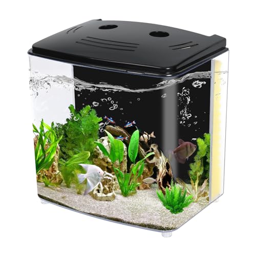 AQUANEAT Fish Tank, 1.2 Gallon Aquarium, Small Betta Fish Tank Starter Kit with LED Light and Water Filter Pump, Rectangular