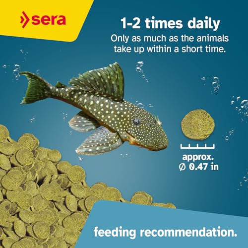 Sera Pleco Chips 13.4 oz./0.84lbs | Premium Fish Food for Ancistrus & Plecos | High Fiber | No Dyes & Preservatives | Supports Digestion & Promotes Healthy Growth | Ideal for Bottom Feeders - size: 13.3 Ounce (Pack of 1)
