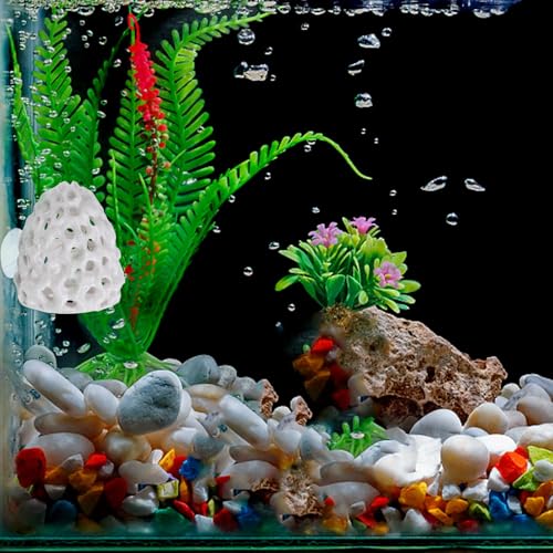 Shrimp Dome Hide, Shrimp Tank Accessories, Shrimps Hides for Aquarium, Gray ABS Shrimps Cave with Suction Cup, Fish Tank Decor for Small Fish Guppy Hiding Resting