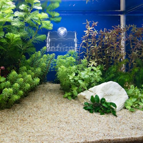 Aquatic Planter Cup Acrylic Fish Tank Planter Moss Holder for Aquarium Safe for Fish Creative Planting Cup Design