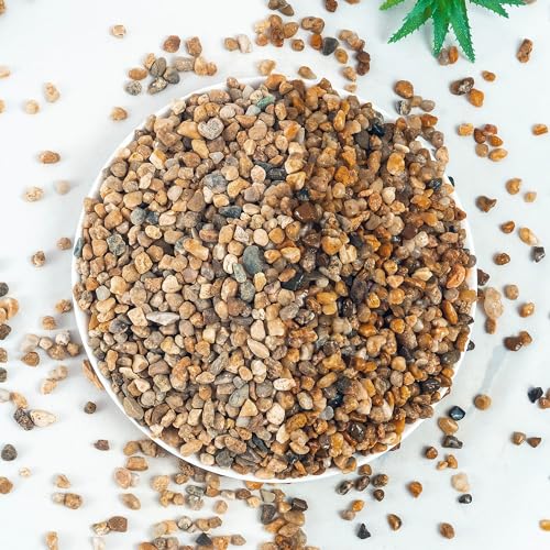 2 lbs Aquarium Gravel, 3-6mm Fish Tank Gravel, Succulent Cactus Pea Gravel for Indoor Plants, River Rocks for Gardening, Flower Pots, Vase Fillers, Garden Landscaping - size: 3-6mm