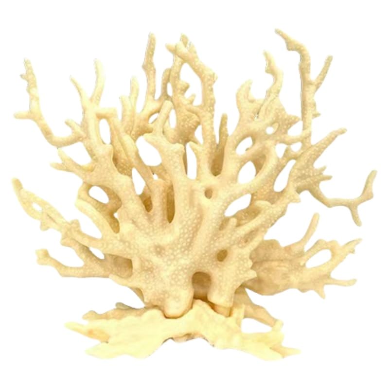 Fish Tank Decorations,Aquarium Corals Decoration, Aquarium Ornaments, Fish Tank Coral, Aquarium Corals Decoration, Fish Decorations for Aquarium (Yellow, Medium) - color: Yellow