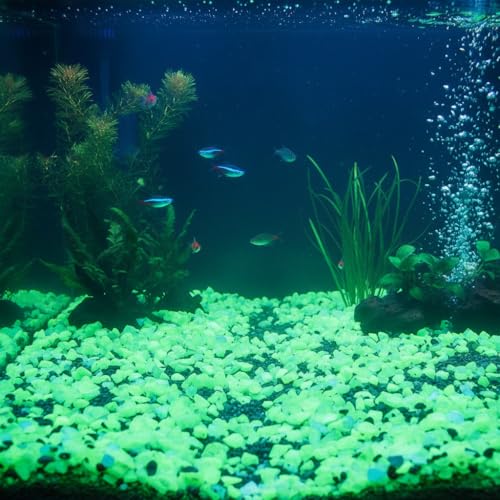 Shiny Stone Glow in The Dark Aquarium Neon Gravel Sand, Decorative Rocks for Fish Tank and Fairy Garden, Home Dec,305g/0.67lbs (5-8mm, Yellow Green) - color: Yellow Green, size: 5-8mm