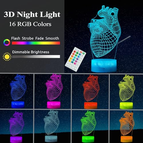 Heart Anatomy Illusion Lamp, Cardiology Gifts, 3D Night Light, 16 Colors Changing, Timer, 4 Flash Modes and Dimmable, Kids Room Decoration, Xmas Heart Model Gifts - color: Heart