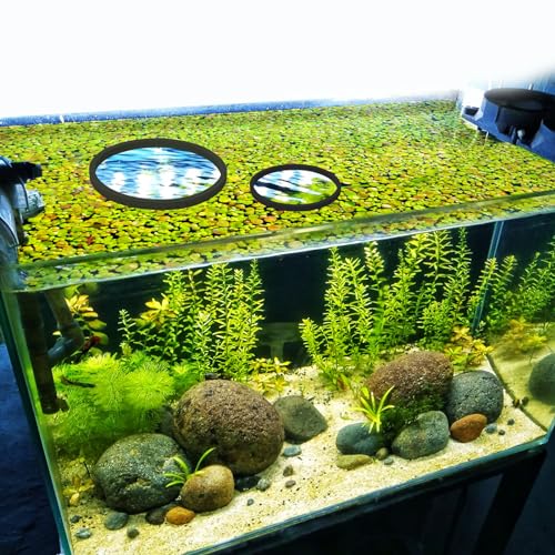 PEUTIER 5pcs Aquarium Floating Plant Rings, Foam Floating Plant Corral Fish Feeding Rings Fish Tank Food Ring for Keeping Floating Plants in Place (Black)