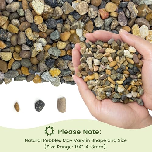 SIDONG 10LB Natural Aquarium Gravel, Small River Rocks for Fish Tank, Garden & Vase Decor - 1/4 Inch Pea Gravel, 4-8mm Polished Stones for Landscaping, Potted Plants, Terrarium - color: 10lb, size: 4-8mm