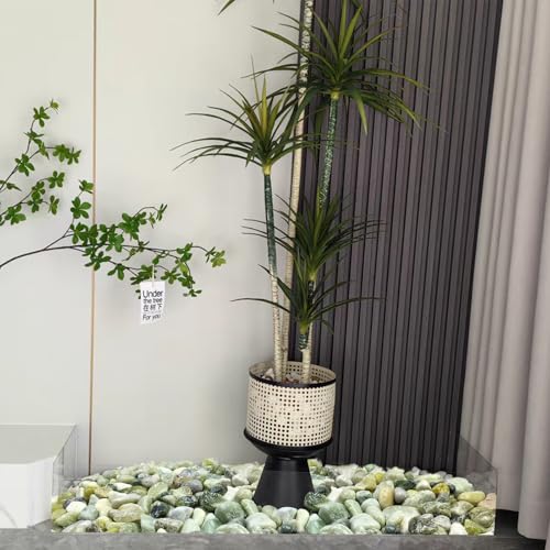 FANTIAN 5 lbs Green River Rocks for Plants, 1-2 Inch Polished Jade Pebbles for Indoor Plants, Decorative Rocks for Succulent, Landscaping, Vases, Yard and Garden - color: Jade, size: 5 lbs, 1-2 Inch