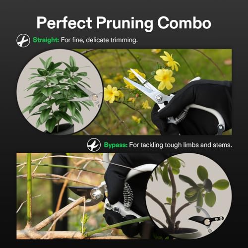 VIVOSUN Pruning Shears for Gardening, Lightweight Plant Pruners for Gardening, Garden Scissors for Cutting Flowers, Trimming Branches, Indoor Plant Scissors, Stylish Garden Gifts for Women - style: Q-Shaped Pruner