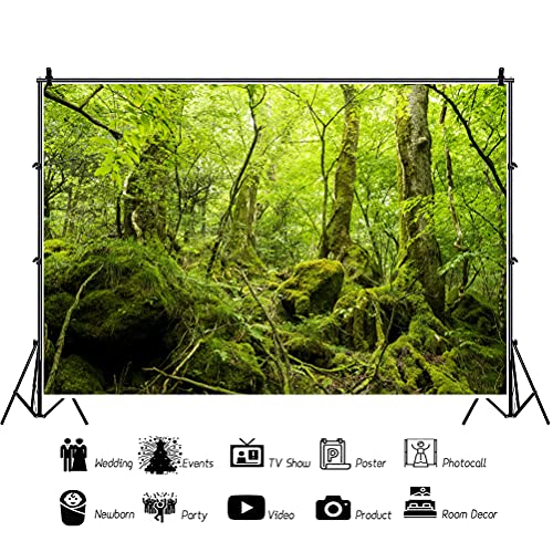 10x8ft Peaceful Natural Scenery Backdrop Evergreen Forest Rustic Landscape Sunshine Tree Photography Background Kids Birthday Party Banner Adventure Theme Polyester Studio Props Portrait Photo - size: 10x8ft-P