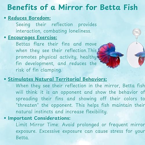 Betta Fish Enrichment Toys Ring and Mirror , Floating Exercise Mirrors And Training Ring, Floating Mirrors Aquarium With Feeding Rings, Fish Toys, Betta Fish Tank Accessories (Blue+Mirror, 6.4cm)