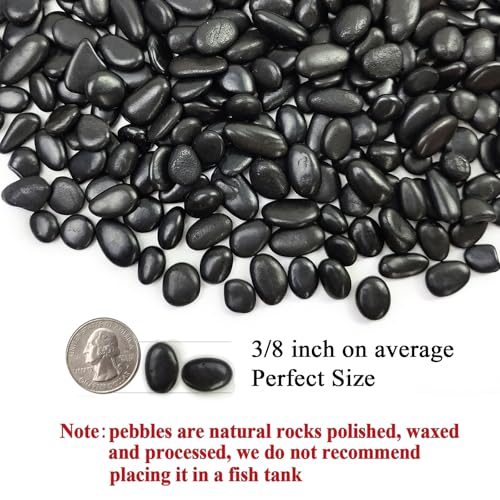 FANTIAN 2 lbs Black Pebbles for Indoor Plants, 3/8 inch Decorative Rocks, Black River Rocks for Succulent Potted Plant, Vase, Aquarium, Landscaping and Outdoor Garden Rocks - size: 2 pounds, style: Black