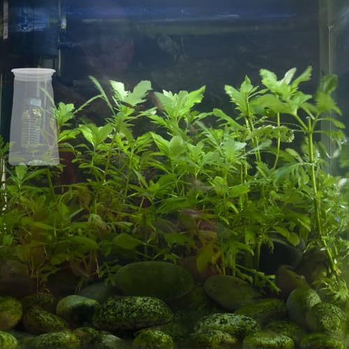 4 Pack 4 Inch Aquarium Filter Bags, Nylon Mesh Filter Socks, 100 Micron Felt Filtration, 4 Inch Ring by 10 Inch Long - size: 10''x4'' (100 Micron)