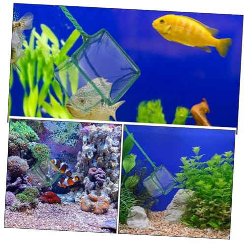 Kisangel 2pcs Fine Mesh Aquarium Fish Nets with Plastic Handles 4-inch Square Scoop Nets for Pond and Fish Tank Cleaning for Aquarium Maintenance