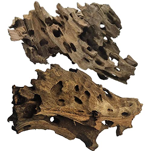 PINVNBY Natural Driftwood for Aquarium Large Reptile Terrarium Decor Decorations Assorted Branches Dearded Dragon Tank Accessories (7-11.5 inches/2 Pack) - size: L:Honeycomb wood (7 - 11.5 inches/2 Pack)