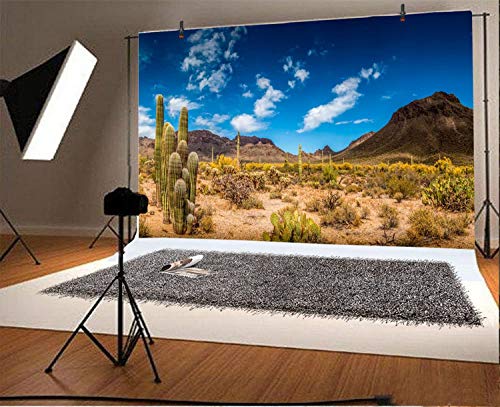 Leyiyi 6x4ft Photography Background Mexico Cactus Backdrop Western Life Desert Plant Saguaro Dry Sand Grunge Bush Mountain Poor Rural Cowboy American Travel Polyester Portrait Studio Video Prop - color: Desert5, size: 6x4ft-P