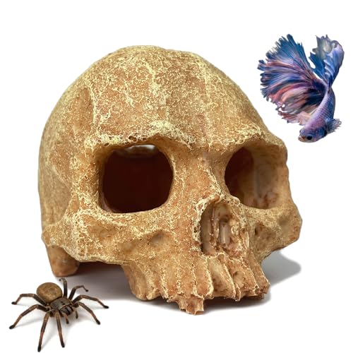 Aquarium Decor - Small Skull Hiding Cave for Fish Tank, Aquarium Hideout Ornament with Skull Texture for Betta, Guppy, Shrimp, Spider - Aquatic Hide Decoration, Fish Hiding House（White） - color: Hollow Skull Décor - White