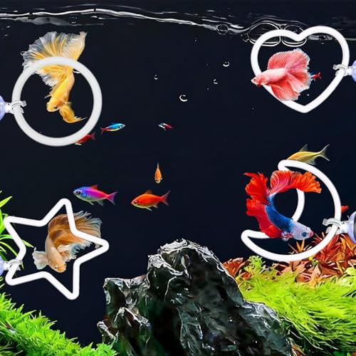 8Pcs Betta Exercise Ring with Suction-Cup, Betta Fish Toys, Beta Fish Aquariums Accessories, Fish Feeding Ring for Betta Tank