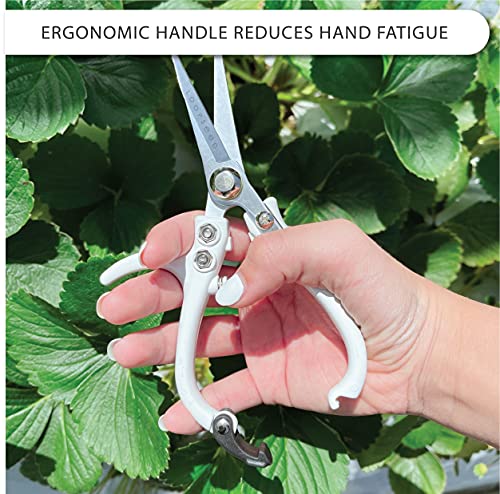Plant Pruning Shears with Vegan Leather Sheath Garden Trimming Scissors with Belt Holster Bonsai Trimmers Herb Snips Flower Clippers Garden Tools 2 Piece Bundle (White & Black) - color: White & Black