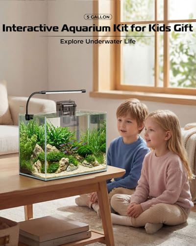 Glass Fish Tank Kit, 5 Gallon Betta Fish Tank Aquarium Starter Kit with Filter, Lights, Lid, for Betta, Goldfish, Small Fish or shrimg，Clear - color: Transparent, size: 5 Gallon