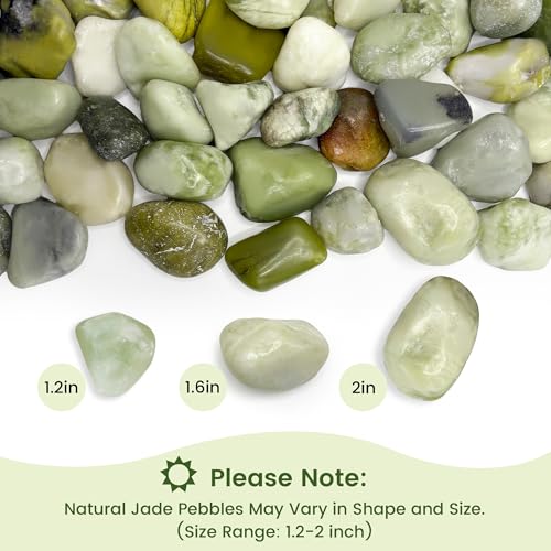 SIDONG 10 LB Jade Pebbles, 1.2-2Inch Natural Decorative Polished Jade Stones, Jade River Rocks for Succulents, Cactus, Vases, Indoor Plants, Garden Landscaping, Bamboo - color: Jade, size: 10 lbs,1.2-2inch