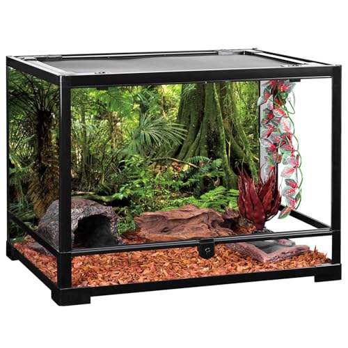 AWERT 60x24 inches Forest Terrarium Background Stone Green Huge Tree Reptile Habitat Background Tropical Rainforest Aquarium Background Durable Polyester Background - size: 60x24in/150x60cm