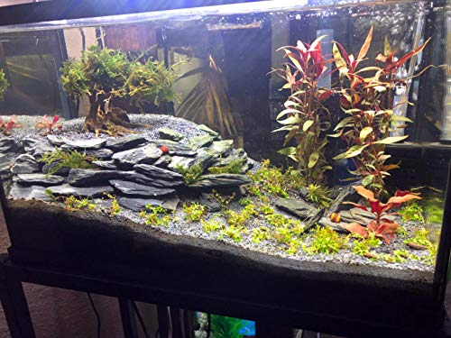 Voulosimi Natural Slate Rocks PH Neutral Stone Perfect Rocks for Aquariums, Landscaping Model,Tank Decoration,Amphibian Enclosures (12 LB, 5-7 inch) - color: 12 LB, size: 5-7 inch