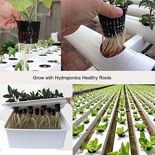 ORIMERC 2 inch Net Cups Pots 30 Pack with 30 feet Self Watering Wick & 30 Plant Labels for Hydroponics Aquaponics Planter Indoor Outdoor Growing Baskets Slotted Mesh UV Resistant & BPA Free - size: 2 inch (30 Pack)