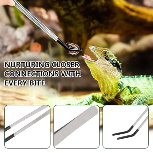 3 PACK Stainless Steel Reptile Feeding Tongs,10.62" Straight &Curved Long Feeding Tweezers&Bowl Set,Non Slip Feeding Tools with Rubber Tip,Bearded Dragon Tank Accessories (B-Silver) - color: B-silver