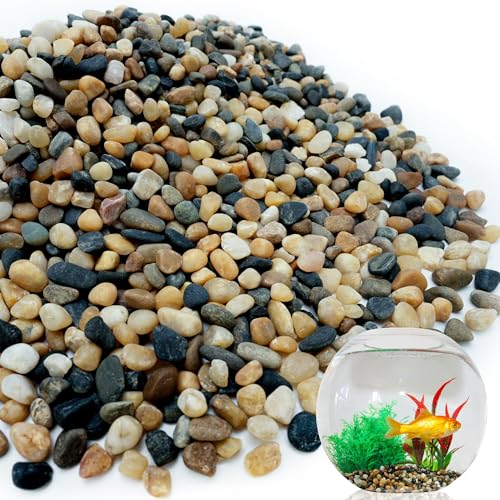 6 lb Aquarium Gravel, 1/4" Ph-Natural Pea Gravel for Fish Tank,Small River Rocks for Plants, Decorative Aquarium Pebbles for Vase Fillers, Landscaping, Succulent, Cactus, Terrarium, Bird Bath