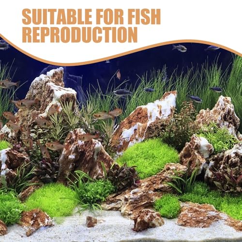 5-Hole Acrylic Shrimp Shelter Fish Hiding Cave Aquarium Landscaping Decor for Shrimp Breeding and Turtle Fish Tank Ornament