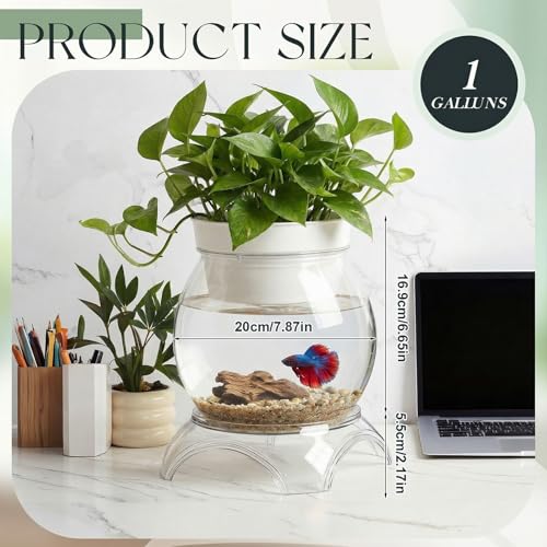 Geelin 1 Gallon Plastic Aquaponic Betta Fish Tank Aquaponic with Base and Top, Large Bowl Shatterproof Ecosystem Aquarium with Clear Clarity for Terrarium, Flower Vase Betta Fish Centerpiece Gifts - size: 1 Gallon