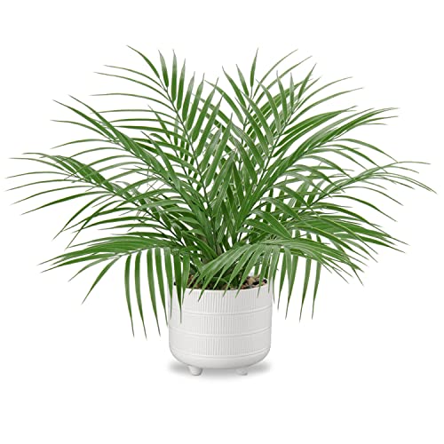 Hollyone Large Artificial Potted Plants Fake Palm Plants 19" Faux Green Plant Plastic Tropical Palm Tree in White Ceramic Pots Bohemian for Home Room Office House Indoor Decoration - color: 19" Palm Potted-8