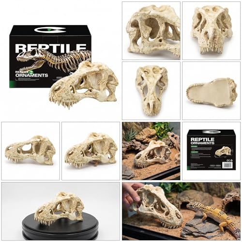 CLEEN T-Rex Skull Reptile Hide - Dinosaur Bone Terrarium Decor for Lizards Snakes Bearded Dragon, Realistic Fossil Cave Aquarium Tank Accessories (Small)