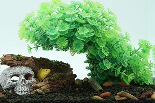 AQUA KT Aquarium Landscape Skeleton Head Skull with Tree Branch for Betta Cichlid Fish Hiding Rock Aquatic Decoration - color: Tree Skull