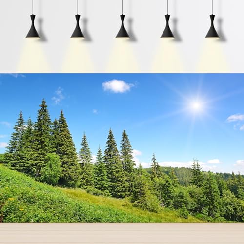 High mountains Aquarium Background Evergreen Spruce Forest Pine Trees Fish Tank Background Scenic Sunrise Summer Mountain Slope Terrarium Backgrounds Green Meadow Reptile Tank Backgrounds 24x12in - color: Blue_Pure Green, size: 24(W)x12(H)in