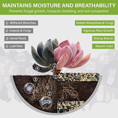 6 lb Aquarium Gravel, 1/4" Ph-Natural Pea Gravel for Fish Tank,Small River Rocks for Plants, Decorative Aquarium Pebbles for Vase Fillers, Landscaping, Succulent, Cactus, Terrarium, Bird Bath
