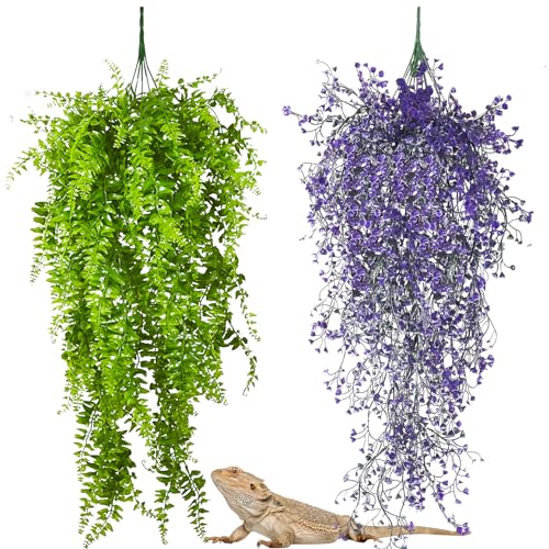 2 Pack Reptile Plants Terrarium Hanging Fake Vines with Suction Cup Artificial Leaves for Bearded Dragons Lizards Geckos Snake Hermit Crab (Purple and Green) - color: 2 Pcs ( Green and Purple )