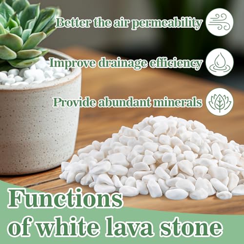 Sukh White Pebbles for Succulent and Cactus - 420G 1/5 Inch Succulent Cactus Gravel Pebbles,Natural Decorative Polished River Stones,Small River Rocks for Outdoor Gardening,Vases,Landscaping,Fish Tank