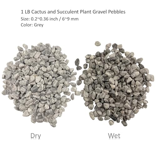 Natural Polished Pebbles, Decorative Garden Rocks, 1LB Cactus and Succulent Plants Pebbles, Grey River Rocks for Potted Plants, Vases, Aquariums, Terrarium and Outdoor Gardening(0.24-0.35 inch) - color: 1LB Grey