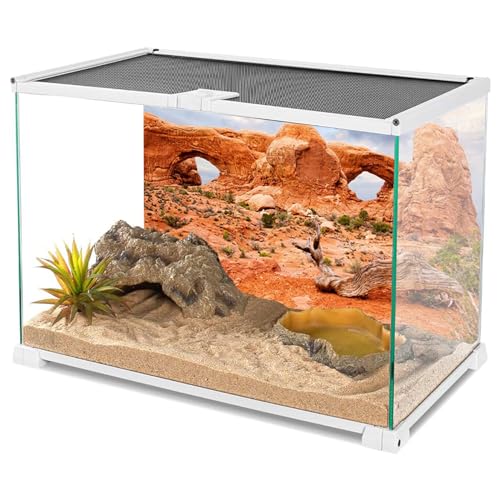 YongFoto Reptile Tank Terrarium Background 30x18 inch Desert Rocky Bush Thorns Western Wilderness Reptile Habitat Background Bearded Dragon Fish Tank Aquarium Polyester Backdrop - color: Orange-2, size: 30 x 18 in