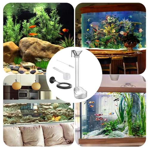 Shrimp Feeder – ABS 16.5cm | Shrimp Feeding Tube | Feeder Tube Tray | Aquarium Feeding Accessory For Fish And Aquatic Pets Controlled Food Delivery Reduces Waste Keeps Tank Clean Supports Organized An