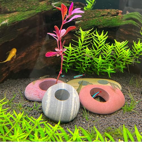Natural River Stone Plant Weights for Aquarium, Handmade Pebble Anchors for Aquatic Plants, Fish Tank Decorations, Unique Shape & Size, Landscape Plant Weights (1.2″ Hole 5pcs) - color: Large 1.2″ Hole 5pcs