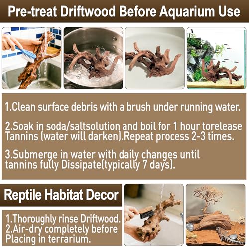 Kaiyuan Dynasty 2Pcs 10-12" Natural Coral Driftwood for Fish Tank Decorations Aquarium Driftwood for Reptile Aquatic Plants Aquascaping - size: Driftwood 10 to 12 Inch(Pack of 2)