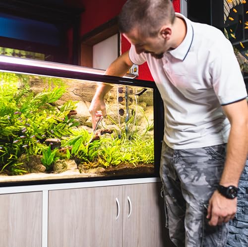 Mandala Crafts 12 Inches Silver Stainless Steel Curved Aquarium Scissors for Trimming Aquatic Plants – Bent Aquascape Scissors for Fish Tanks, Hospital Tanks, Goldfish Bowls, and Terrariums - color: Stainless Steel Curved Scissors, size: 12 Inches