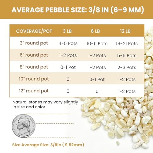 3/8 Inch Cream Beige Decorative Pebbles, Natural River Rocks for Indoor Plants, Succulents, Planters, Vases, Terrariums, Aquarium Gravel, Top Dressing Stones, 12 LB - color: Cream Beige, size: 12LB
