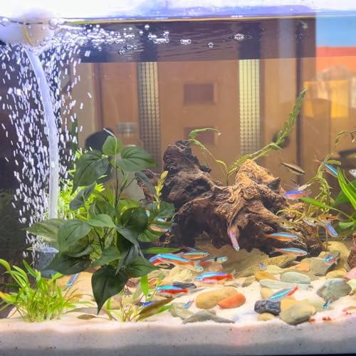 M2cbridge Fish Tank Plastic Soft Grass Artificial Betta Water Plants Decoration Goldfish Hide 12" (Tall Anubias 2pcs) - color: Tall Anubias